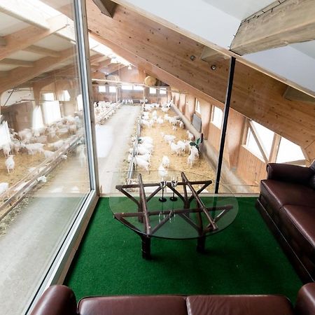 Auszeit Am Ziegenhof Nur Fuer Erwachsene Appartement Schlierbach Buitenkant foto