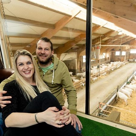 Auszeit Am Ziegenhof Nur Fuer Erwachsene Appartement Schlierbach Buitenkant foto